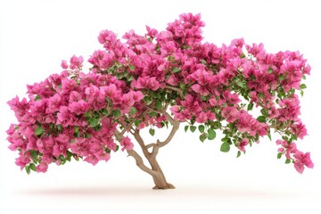 Bougainvillea glory Cascading bloom of flower power nature s pink vibrant tree on white background. Generative Ai