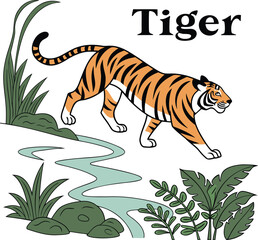 tiger walking in jungle near stream with green plant