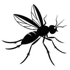 Fototapeta premium Delicate silhouette of a small gnat in flight isolated on white background