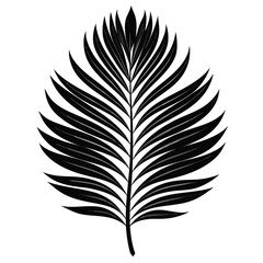 Obraz premium Elegant black silhouette of a single palm frond isolated on white background