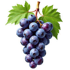 Grapes cluster purple fruit vine isolated, Juicy sweet snack bunch, Natural antioxidant-rich produce, Fresh vineyard item organic, Transparent PNG isolated food