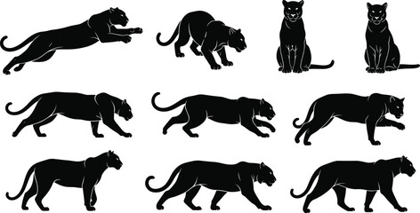 Black panther silhouette set, wild jungle predator poses, vector illustration of fierce feline cat in walking, hunting, and sitting positions