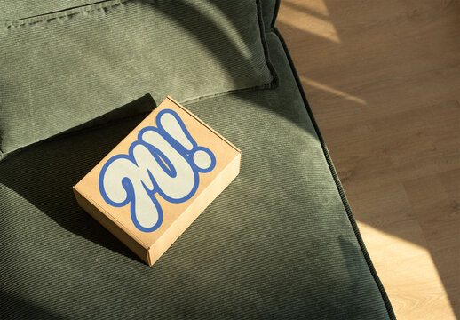 Mockup of a Packaging cardboard Box on a Cozy Couch