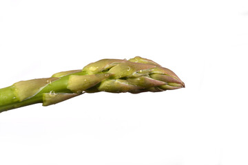 A very close-up, horizontal shot focuses on the delicate tip of a green asparagus spear, showing its scaled texture and subtle moisture