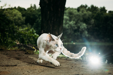 Fototapety na wymiar - Fototapeta24.pl