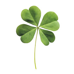 Lucky four leaf clover vibrant green hope and luck