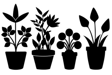 Potted plants silhouettes, botanical garden design