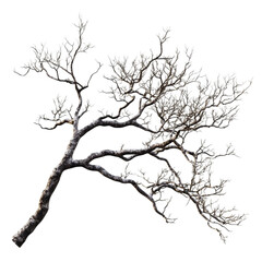 Abstract Tree in Geometric Landscape Dreamlike and surreal