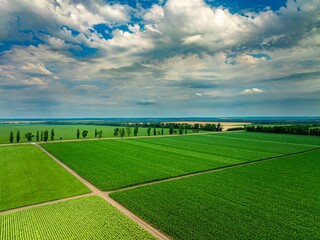 field and blue sky