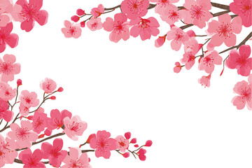 Fototapeta premium Pink Cherry Blossom Frame on Transparent Background, PNG