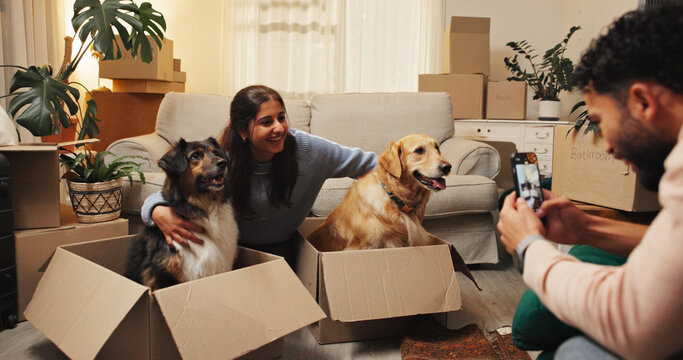 Smile, woman and picture with dogs at new house for photography, social media post and memory. Happy, couple and animal in box for profile update, pet friendly and bonding together of home relocation