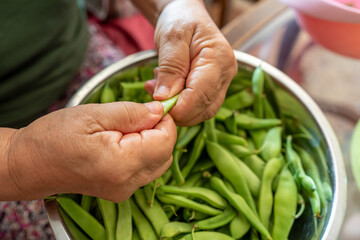Elderly woman preparing fresh green beans in a kitchen bowl