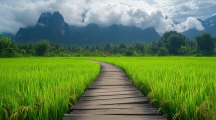 Scenic wooden pathway through vibrant green rice fields in vang vieng, laos, surrounded by lush tropical vegetation and mountain landscape under a clear blue sky