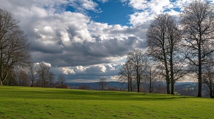 Fototapeta premium Sunlit grassy field under a dramatic sky, bare trees silhouetted against fluffy clouds, rolling hills in the distance