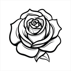 Elegant white rose silhouette with detailed petals on a black background