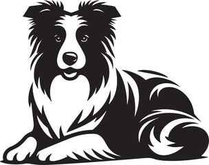 Border Collie Dog Vector – Silhouette 