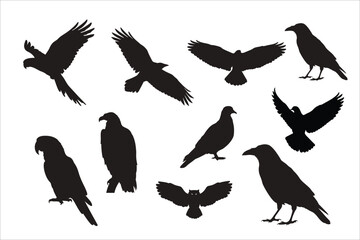 Set of Bird Silhouettes in Flying and Sitting Poses, Isolated on White Background