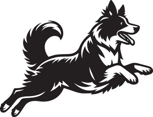 Border Collie Dog Vector – Silhouette 