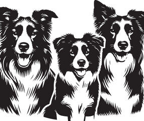 Border Collie Dog Vector – Silhouette 