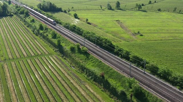 A high-speed red train speeds through picturesque vineyards, showcasing the beauty of travel and technology.
