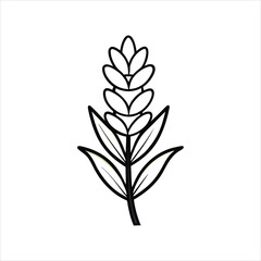 Stylized white wheat stalk with leaves on a black background
