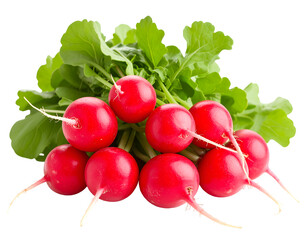 Fresh Radishes: A vibrant composition of fresh, bright red radishes with lush green leaves, showcasing nature's bounty and the wholesome goodness of organic produce.