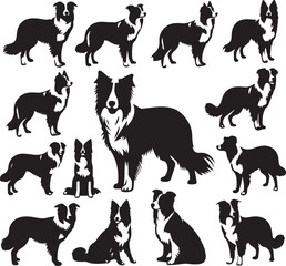 Border Collie Dog Vector – Silhouette 