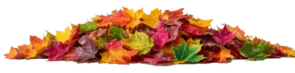 A pile of autumn leaves on a white background