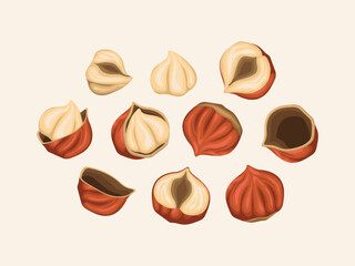 hazelnut nut cartoon organic harvest natural raw plant snack vegetarian product art pattern seamless