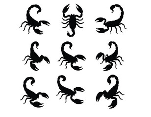 Scorpio Black Silhouette Zodiac Sign Vector | Scorpio Horoscope Symbol Clipart | Astrology SVG, PNG, Emblem & Tattoo Design