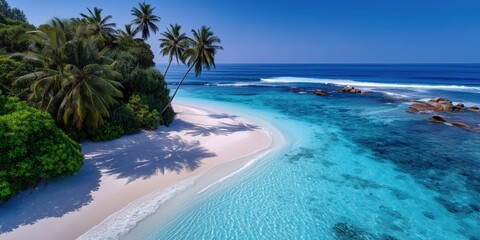 Obraz premium aerial view of tropical beach with turquoise water and palm trees