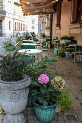 Charming outdoor café with green chairs and potted flowers on a cobblestone street, featuring hydrangeas and lush plants in ceramic pots, creating a cozy and inviting European atmosphere