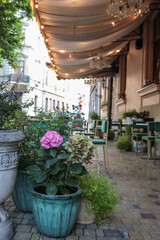 Charming outdoor café with green chairs and potted flowers on a cobblestone street, featuring hydrangeas and lush plants in ceramic pots, creating a cozy and inviting European atmosphere