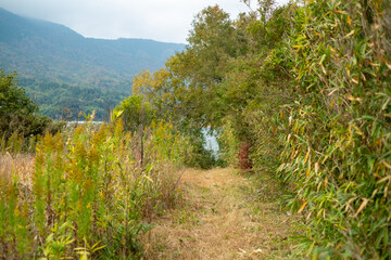 海に続く田舎道
