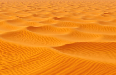 Golden Sand Dunes in Desert Landscape