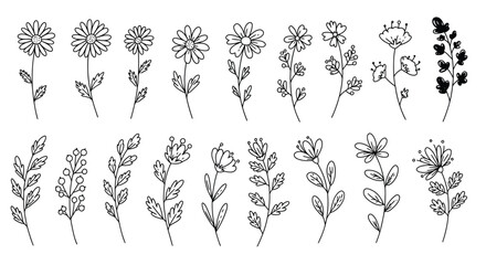 A collection of handdrawn flower doodles isolated on white background, showcasing various floral designs and botanical elements