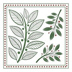 Fototapeta premium Illustration of leafy branches with berries in a square frame with dotted border design element style