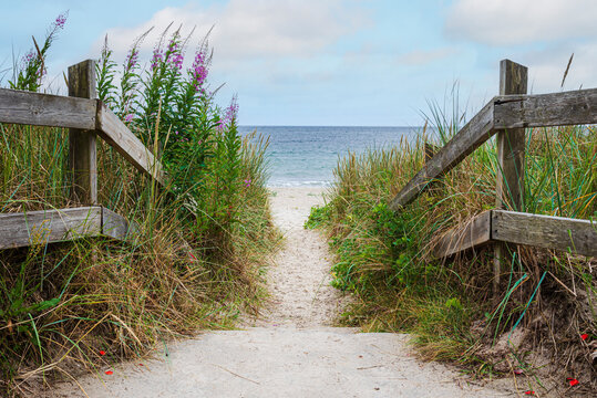A wooden fence separates a beach in Ystad, Sk&aring;ne from a grassy area