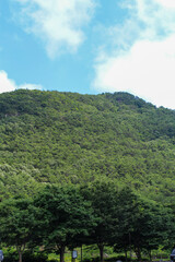 Obraz premium landscape of the mountains