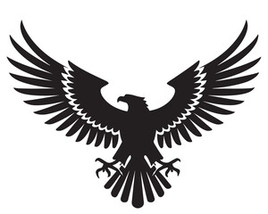 Fototapeta premium A silhouette of an eagle with outstretched wings against a plain white background image capture