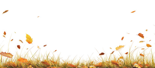 Obraz premium PNG Real autumn grass leaves leaf background scenery.