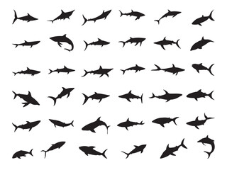 Fototapeta premium Diverse Shark Silhouettes for Design and Illustration