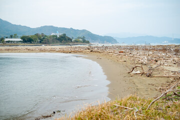 砂浜に流れ着いたたくさんの漂流物
