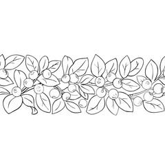 Bilberry Branch with Berries and Leaves Outline Horizontal Seamless Pattern. Organic natural nutritional healthy food ingredient, vegetarian diet product. Vector isolated for design or decoration.