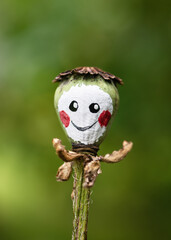 Handmade cute smiling poppy seed head with painted face. Children education concept. Easy nature crafts and activities for Kids concept. Copy space