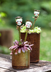 Handmade cute smiling poppy seed head with painted face in rustic rusted can flowerpots with houseleeks (Sempervivum) plants. Small gift or decor for Garden. Easy fun kids crafts concept.Copy space.