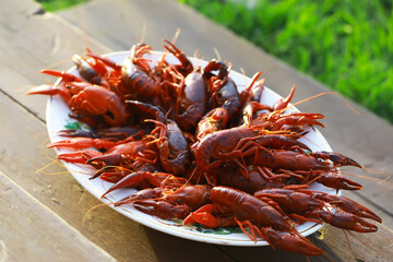 Fresh Boiled Crawfish Served on a White Plate Outdoors with Green Grass in the Background