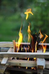 Outdoor Fire Pit with Burning Wood and Bright Flames Against a Blurred Green Background