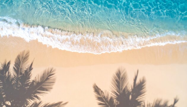 Tropical paradise: sun-kissed beach with gentle waves, endless sand dunes, and coastal grasses under a clear blue sky