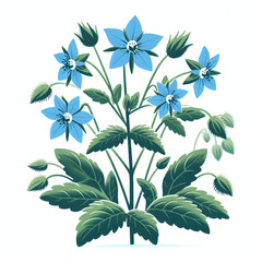 Flat Vector Borage Plant with Blue Flowers Illustration Isolated on White Background